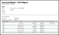Account Report Sample